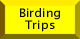 Birding Trips