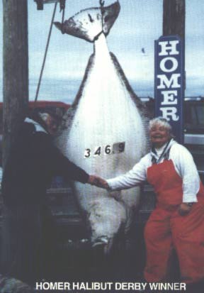 HALIBUT DERBY WINNER-346.9 lbs.