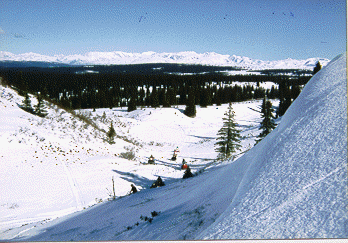 wpe21830.gif (50475 bytes)
