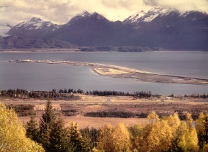 Homer spit