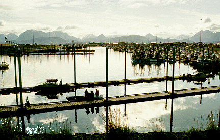 Homer boat harbor