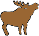 Moose Picture