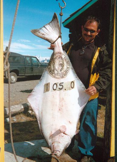 19.jpg (38947 bytes)