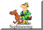 Sightseeing / Flightseeing