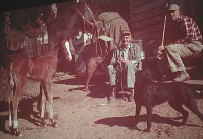 Men with horses