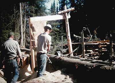 Sawmill photo