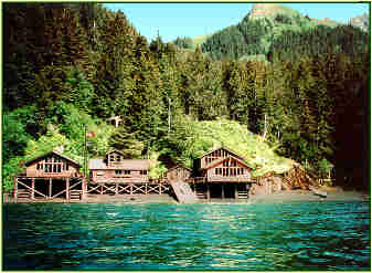 Click for a large image of the lodge (60k)