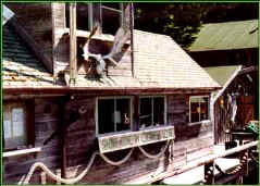 The Wharfhouse