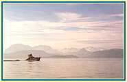 A beautiful boat on a beautiful day..