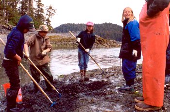 Splash Zone guests dig for clams in the tidal flats near Seldovia