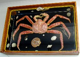 Framed crab