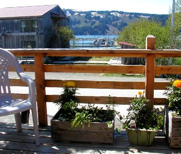 View from the deck and dining table