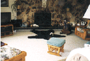 Main Room